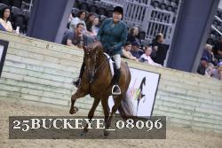25BUCKEYE_08096 thumbnail