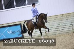 25BUCKEYE_08098 thumbnail