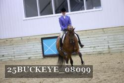 25BUCKEYE_08099 thumbnail