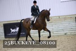 25BUCKEYE_08100 thumbnail