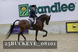 25BUCKEYE_08101 thumbnail