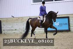 25BUCKEYE_08102 thumbnail