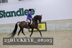 25BUCKEYE_08103 thumbnail