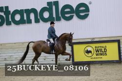 25BUCKEYE_08106 thumbnail