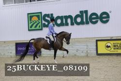 25BUCKEYE_08109 thumbnail