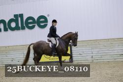 25BUCKEYE_08110 thumbnail