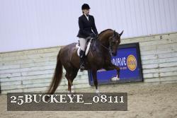 25BUCKEYE_08111 thumbnail