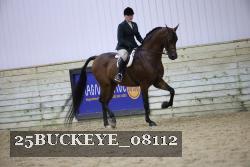 25BUCKEYE_08112 thumbnail