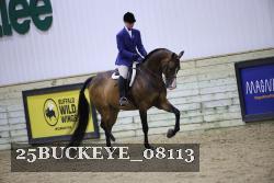 25BUCKEYE_08113 thumbnail