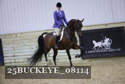 25BUCKEYE_08114 thumbnail