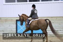 25BUCKEYE_08119 thumbnail