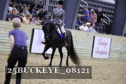25BUCKEYE_08121 thumbnail