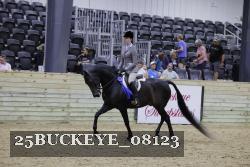 25BUCKEYE_08123 thumbnail