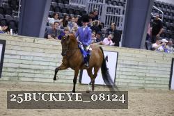 25BUCKEYE_08124 thumbnail