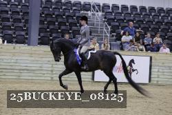 25BUCKEYE_08125 thumbnail