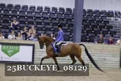 25BUCKEYE_08129 thumbnail