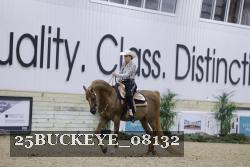25BUCKEYE_08132 thumbnail