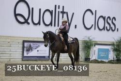 25BUCKEYE_08136 thumbnail