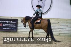 25BUCKEYE_08140 thumbnail