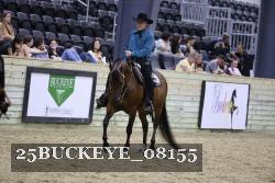 25BUCKEYE_08155 thumbnail