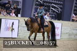 25BUCKEYE_08157 thumbnail