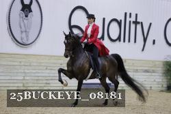 25BUCKEYE_08181 thumbnail