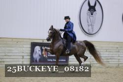 25BUCKEYE_08182 thumbnail