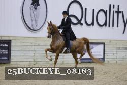 25BUCKEYE_08183 thumbnail