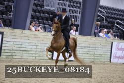 25BUCKEYE_08184 thumbnail