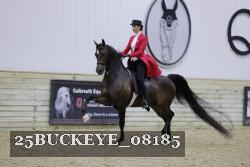 25BUCKEYE_08185 thumbnail