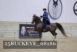25BUCKEYE_08186 thumbnail