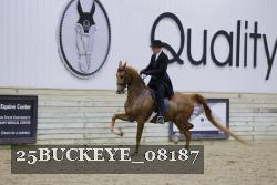 25BUCKEYE_08187 thumbnail