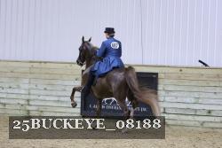25BUCKEYE_08188 thumbnail