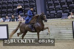25BUCKEYE_08189 thumbnail
