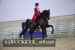 25BUCKEYE_08190 thumbnail