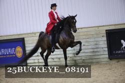 25BUCKEYE_08191 thumbnail