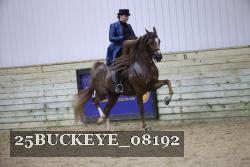25BUCKEYE_08192 thumbnail
