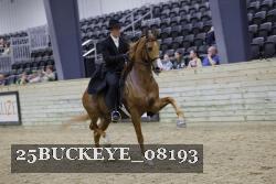 25BUCKEYE_08193 thumbnail