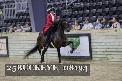 25BUCKEYE_08194 thumbnail
