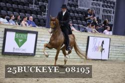 25BUCKEYE_08195 thumbnail