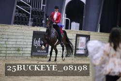 25BUCKEYE_08198 thumbnail
