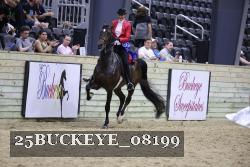 25BUCKEYE_08199 thumbnail