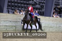 25BUCKEYE_08200 thumbnail