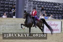 25BUCKEYE_08202 thumbnail