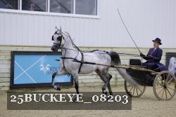25BUCKEYE_08203 thumbnail