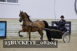 25BUCKEYE_08204 thumbnail
