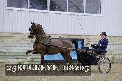 25BUCKEYE_08205 thumbnail
