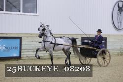 25BUCKEYE_08208 thumbnail
