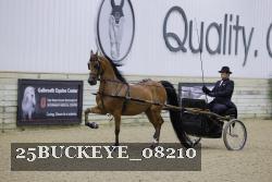 25BUCKEYE_08210 thumbnail