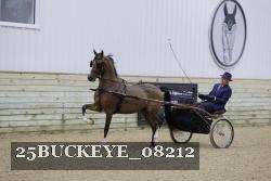25BUCKEYE_08212 thumbnail
